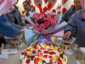 乐鱼官方网站-乐鱼online(中国)
举办三八妇女节活动